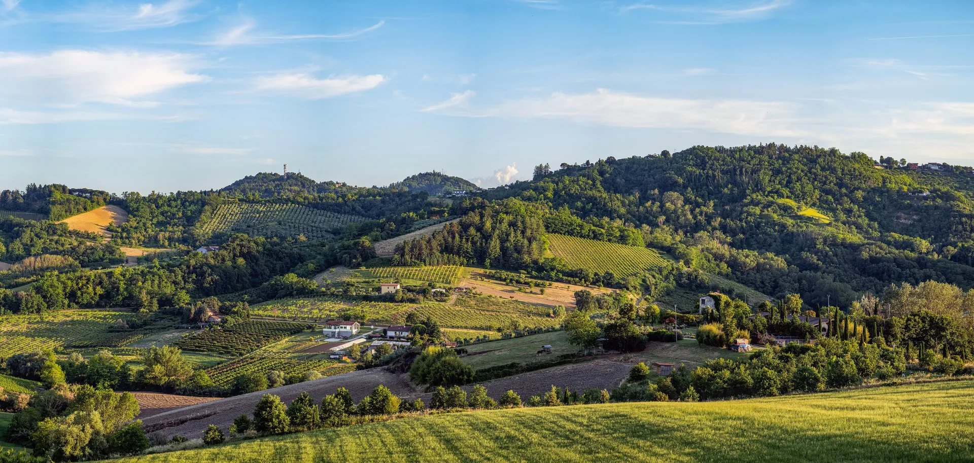 Le colline di Collinello